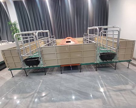 母猪产床双体